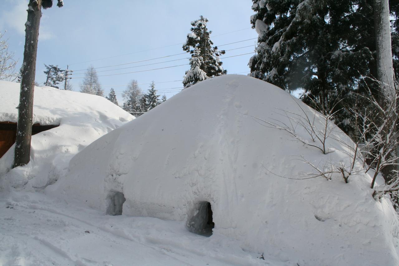 B&B Santana Hakuba Extérieur photo